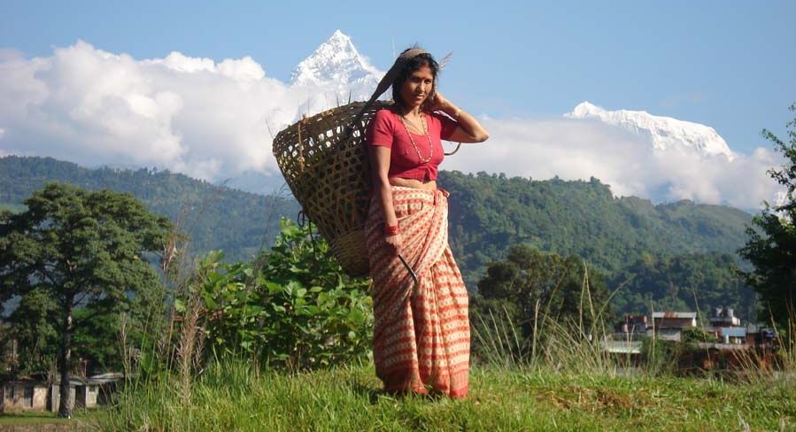 Kati ( Nepali Woman ) and Mount Macchapucchre ( The " Fishtail Mountain " )