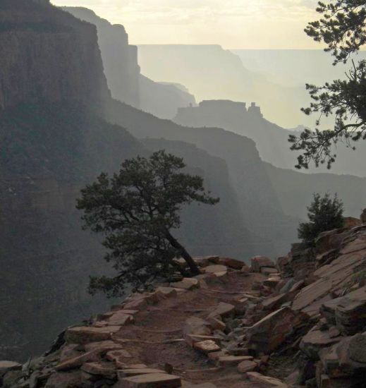 Bright Angel Trail from the South Rim of the Grand Canyon