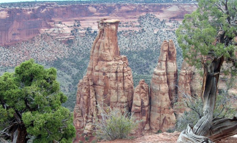 Pipe Organ in Colorado National Monument