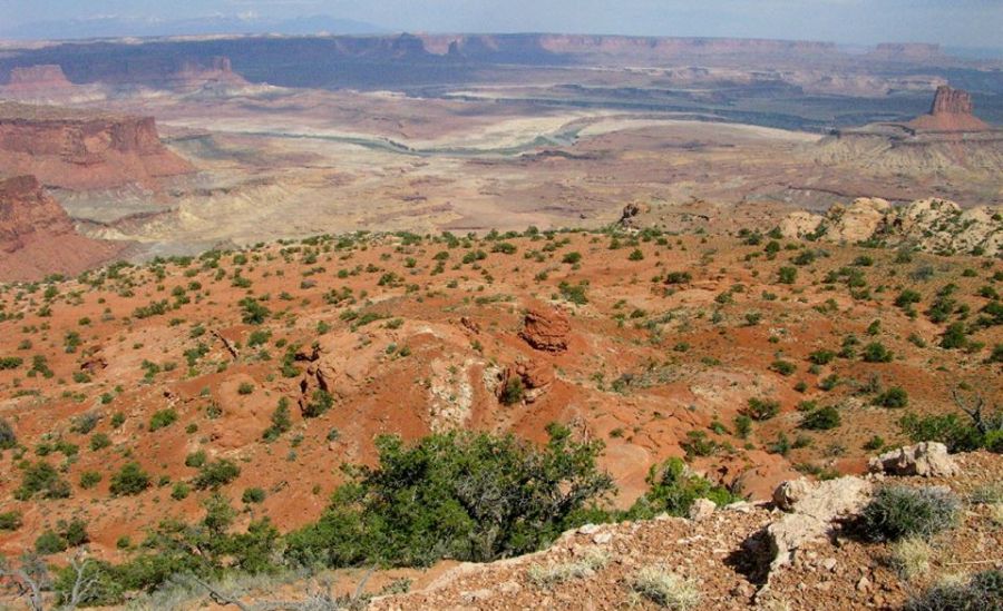 Canyonlands from " Island in the Sky "