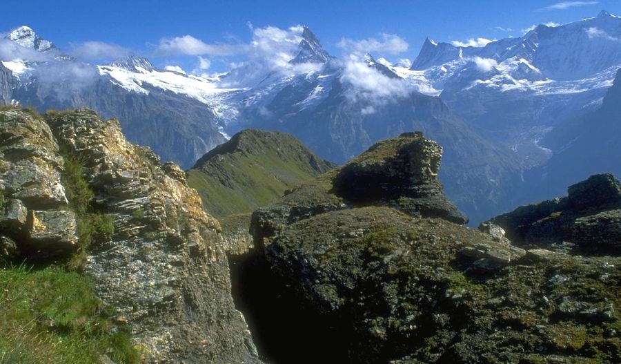 Panoramic view of the Bernese Oberlands - Wetterhorn, Schreckhorn, Finsteraarhorn