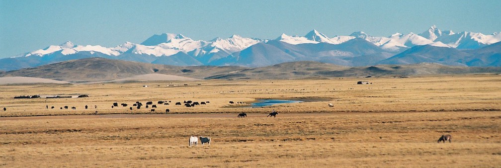 Everest North Side from Tibet