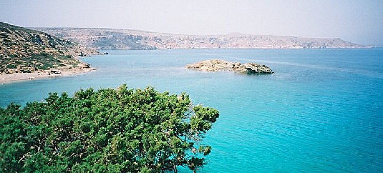 Vai Beach and the palm forest on the Greek Mediterranean Island of Crete