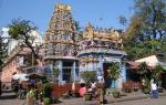 DSC00258_hindu_temple.JPG