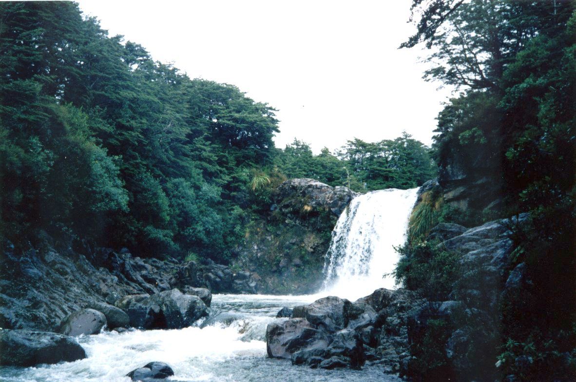 Tawhai Falls in Tongariro National Park in the North Island of New Zealand