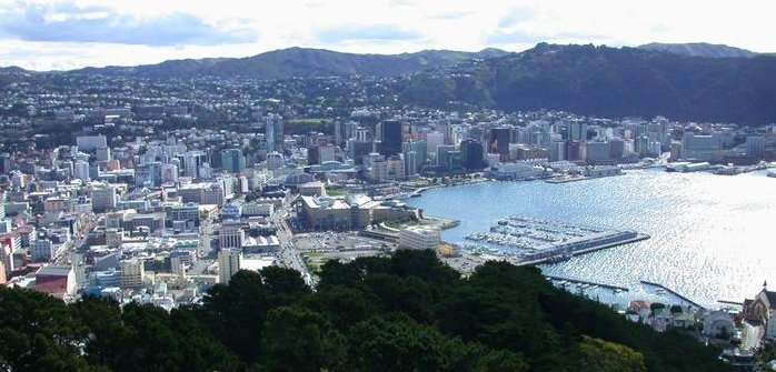 Wellington from Mount Victoria