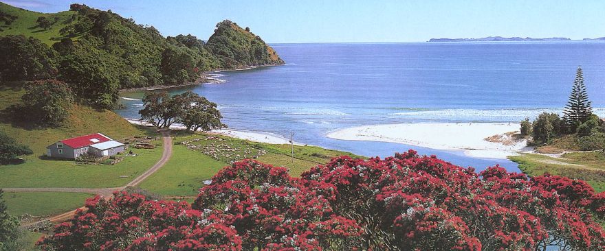 Coromandel on North Island of New Zealand