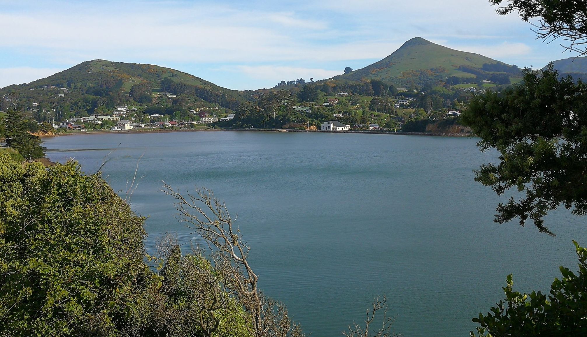 Portobello near Dunedin