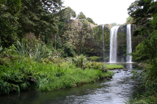 Whangarei Falls in Northland of New Zealand