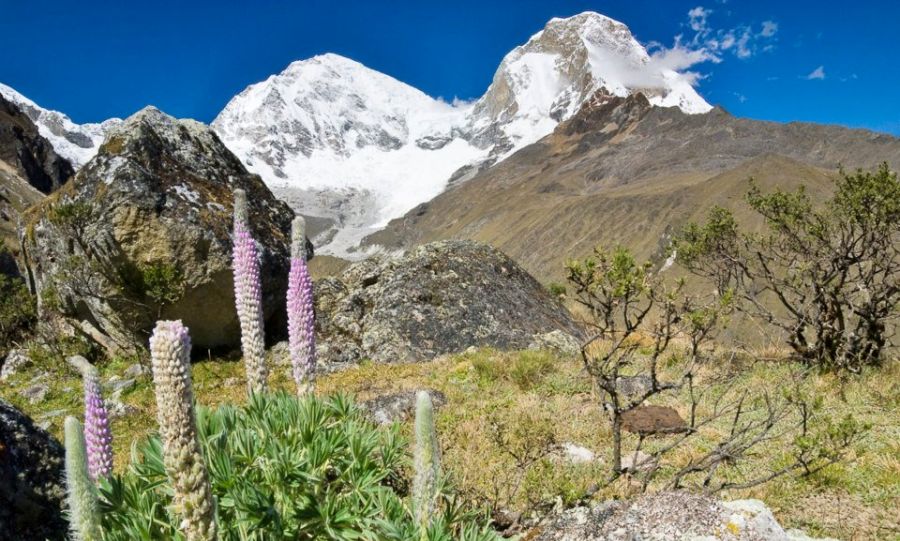 Location map for Huascaran in the Cordillera Blanca of the Andes of Peru