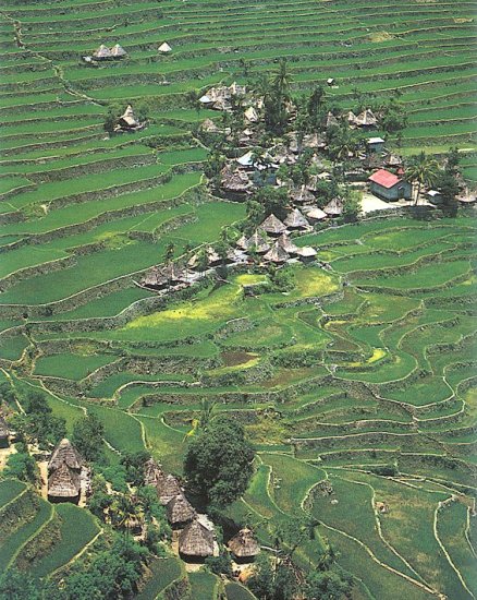 Banaue rice terraces