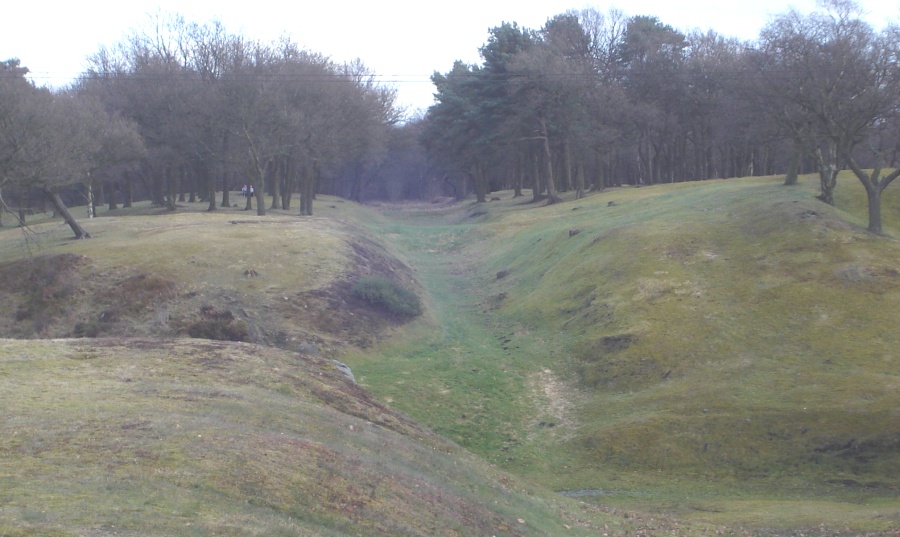 Rampart and Ditch of Antonine Wall through Roughcastle Woods near Falkirk