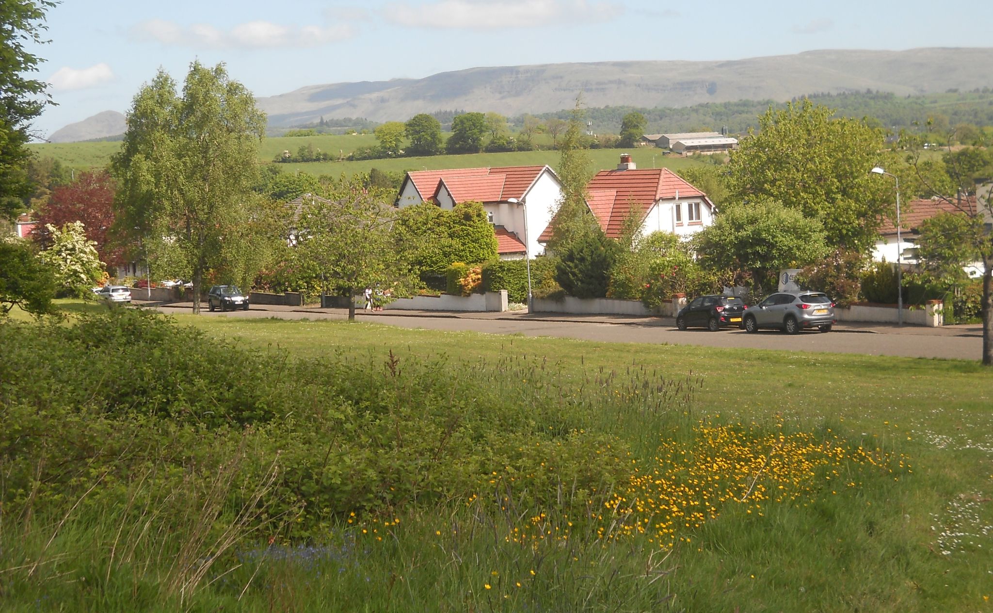 Campsie Fells from Mosshead in Bearsden