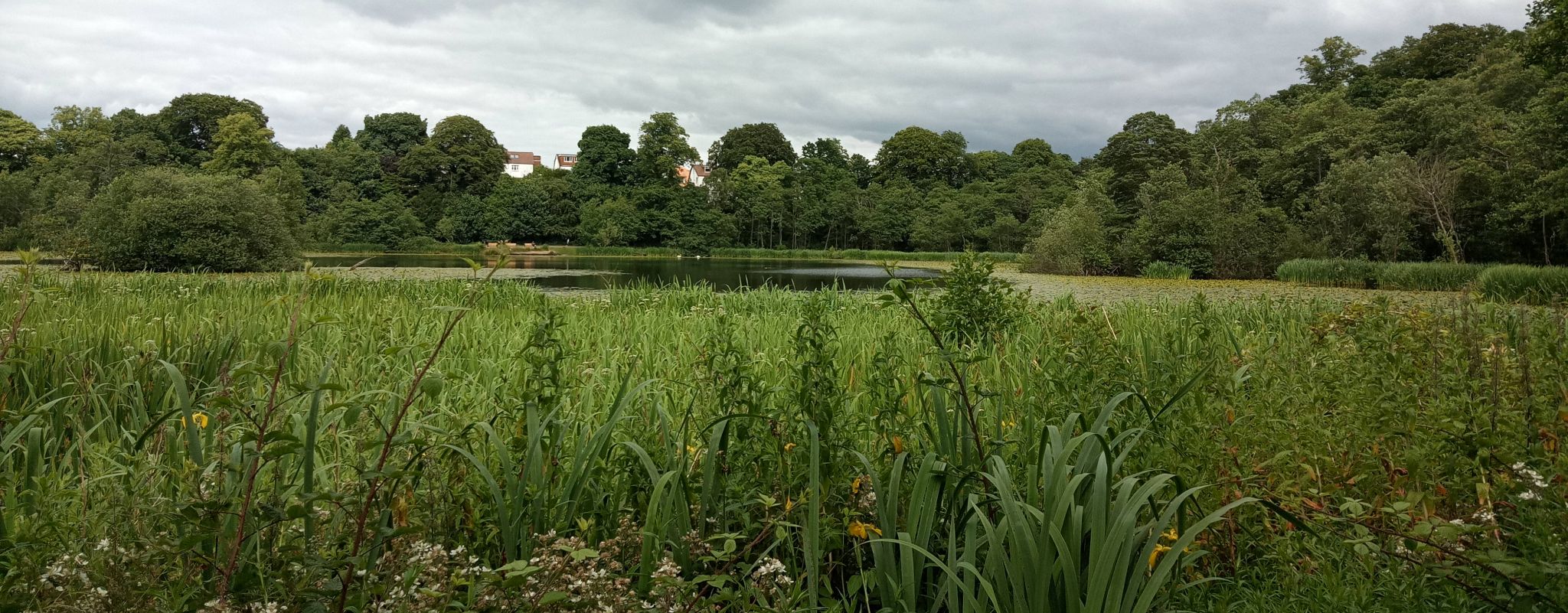 Kilmardinny Loch