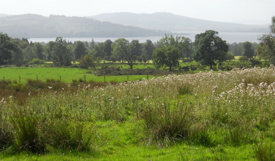 Loch Lomond from the outskirts of Buchanan Smithy