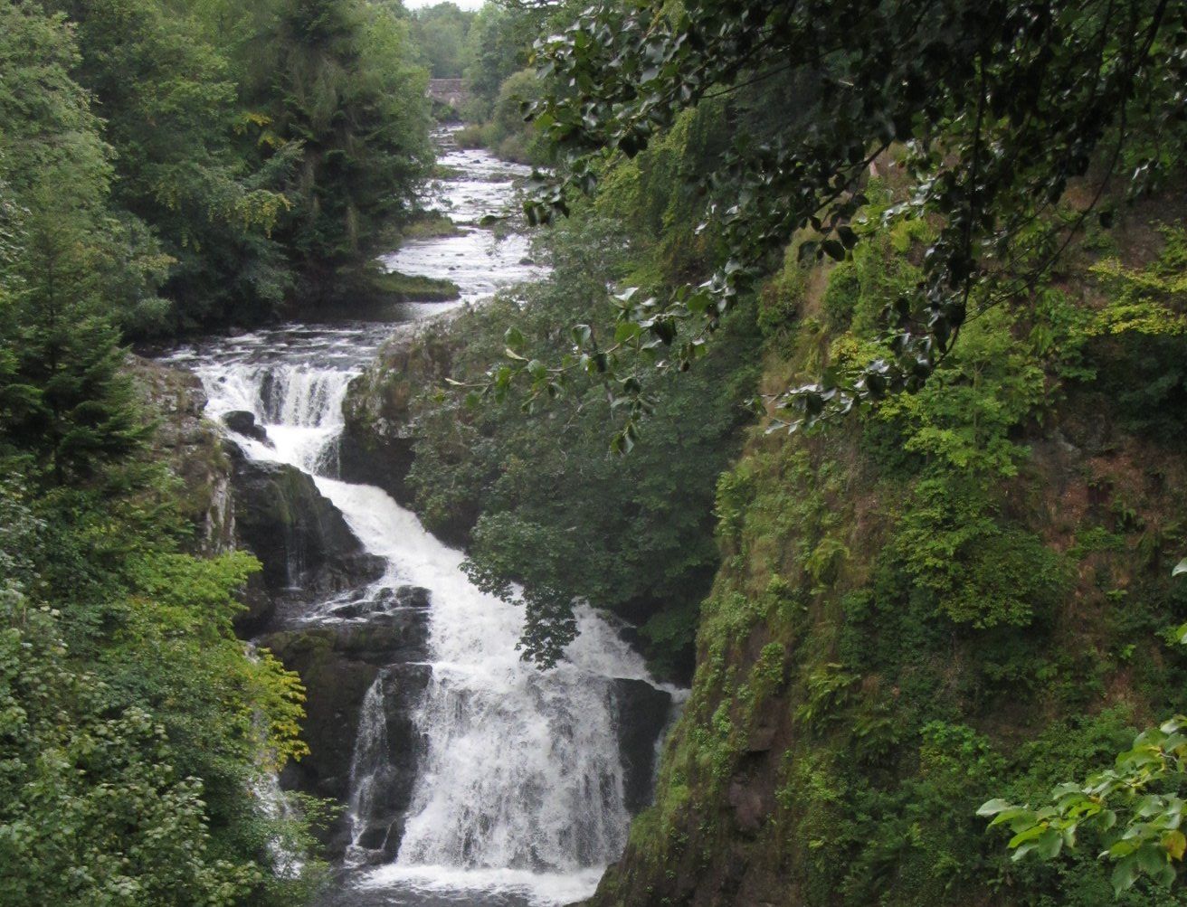 Reekie Linn in Glen Doll