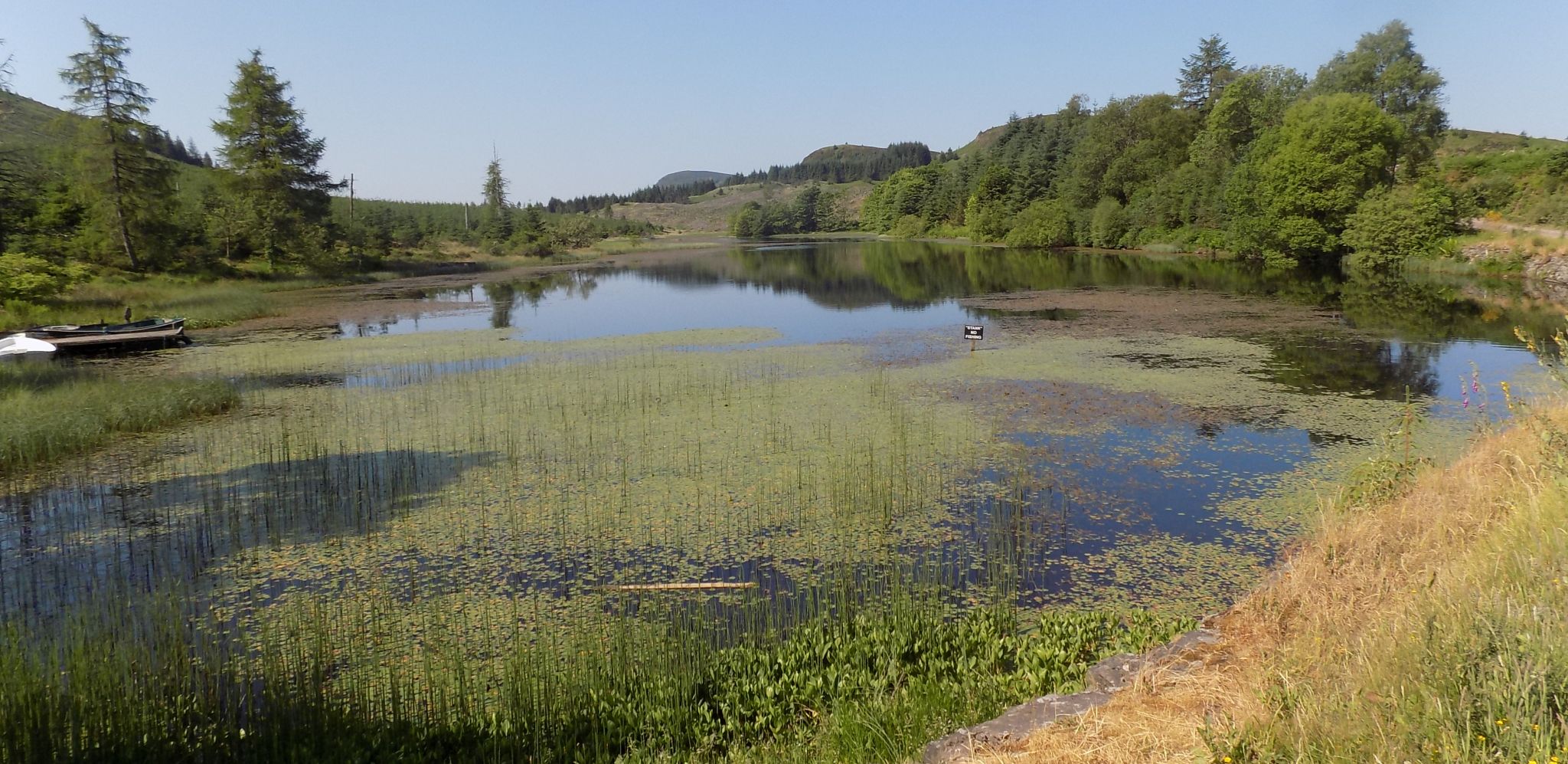 Lochan Allt a'Chip Dhuibh on the Rob Roy Way