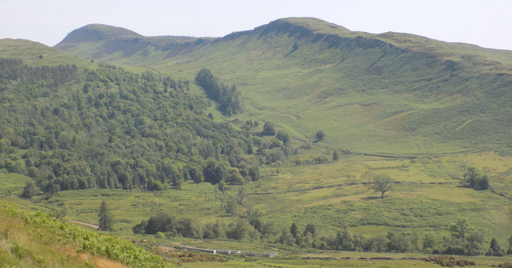 Beinn Dearg above Rob Roy Way