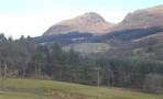 Dumgoyne_DSC01538.jpg