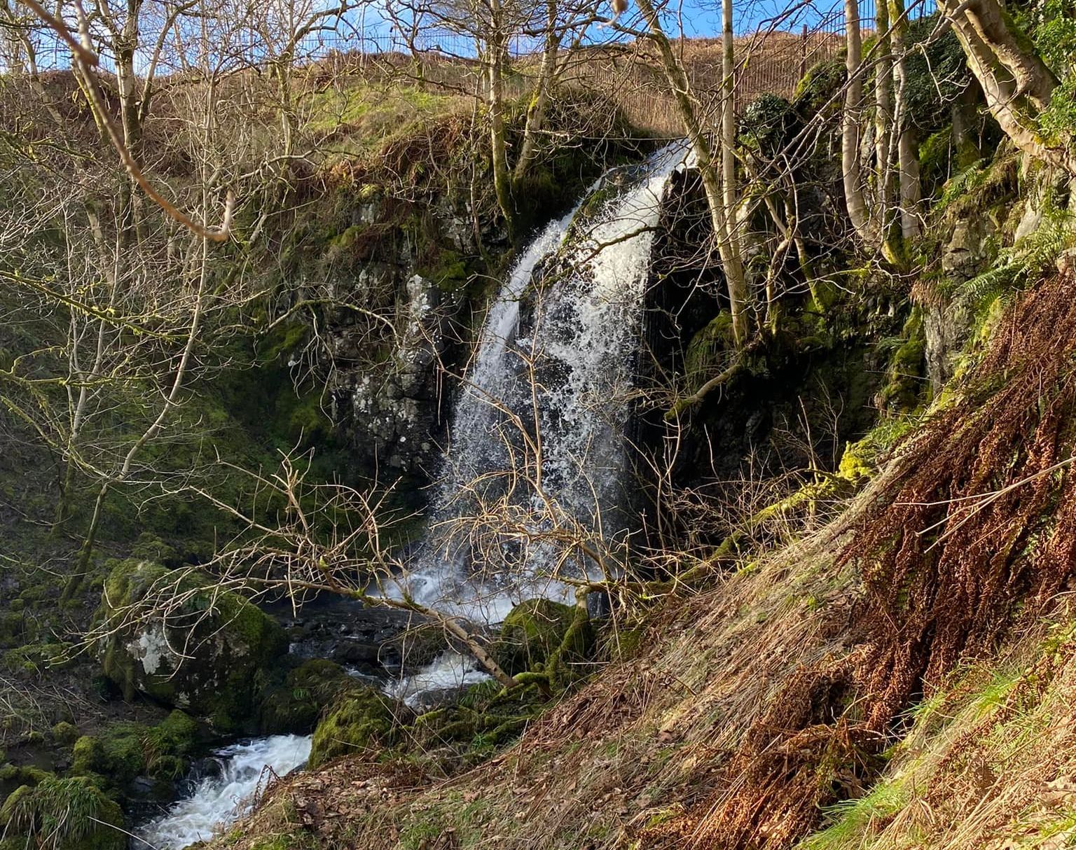 Aldessan Burn above Campsie Glen in the Campsie Fells