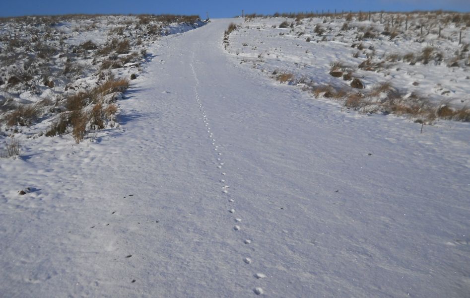 Snow-covered Campsie Fells in winter