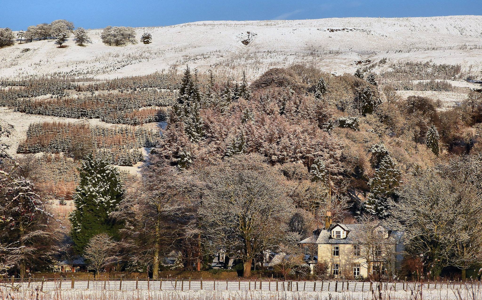 Campsie Glen beneath the snow-covered Campsie Fells