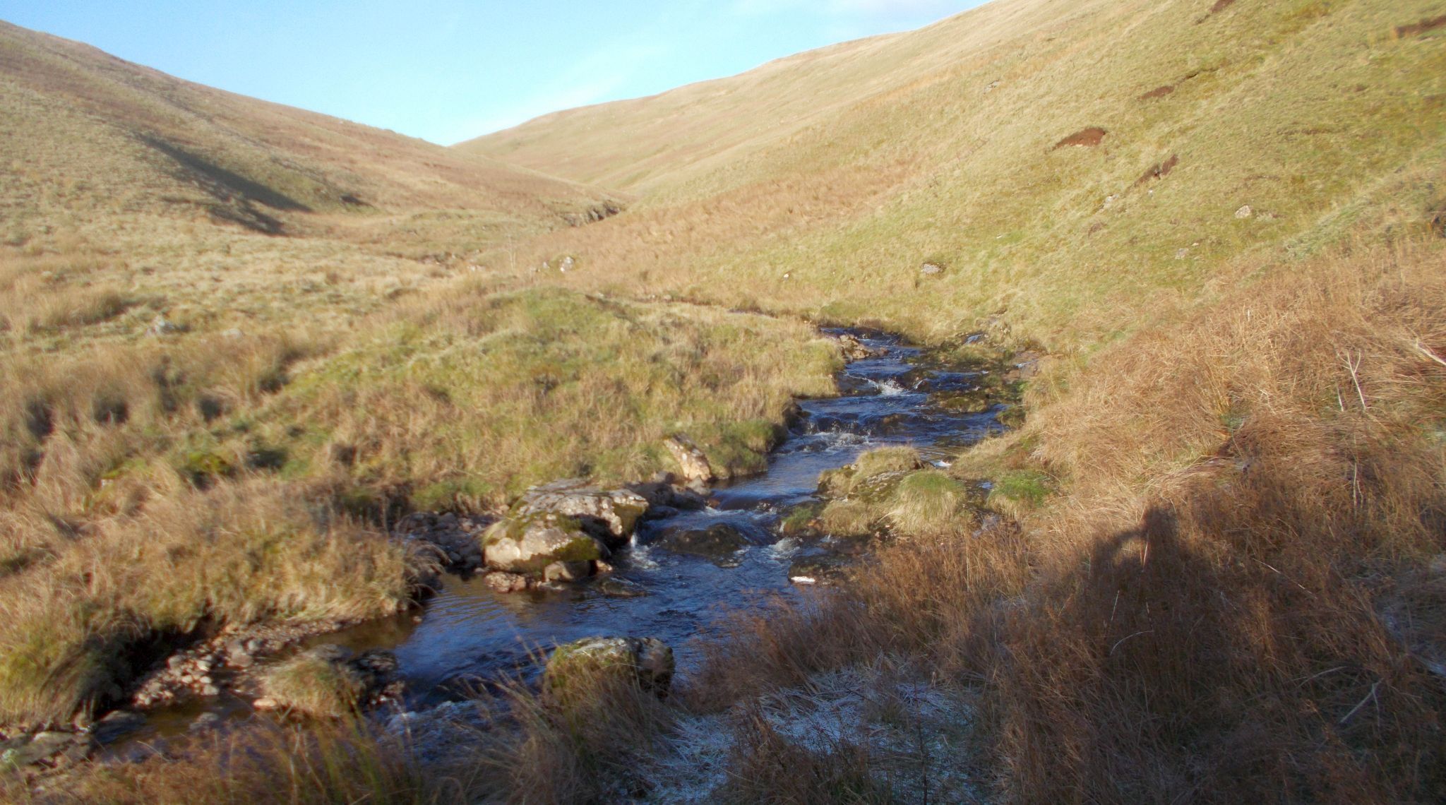 Ballagan Burn above Ballagan Glen in the Campsie Fells