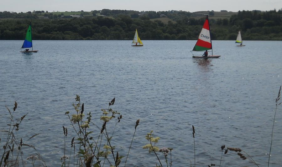 Sailing Dinghies at Castle Semple Loch