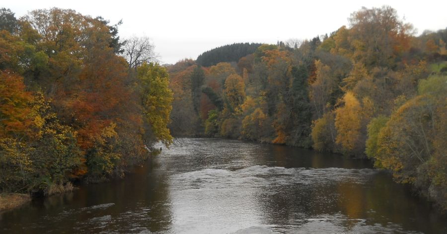 River Clyde from Road Bridge at Crossford Village