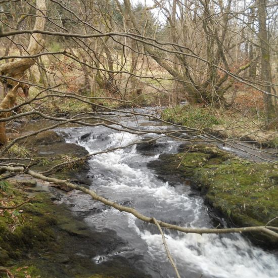 Waterfalls in the Allander River