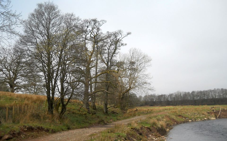 Endrick Water beside Dalnair House