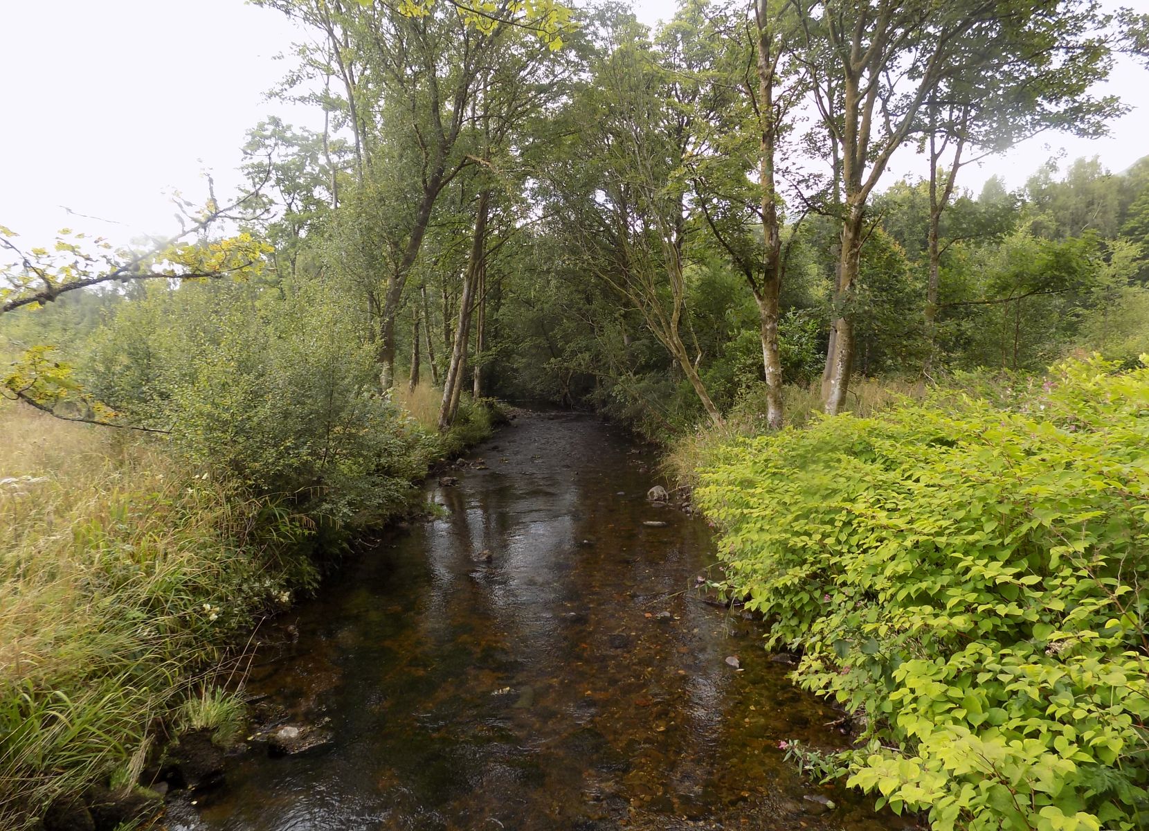 Blane Water on route to Dumgoyach