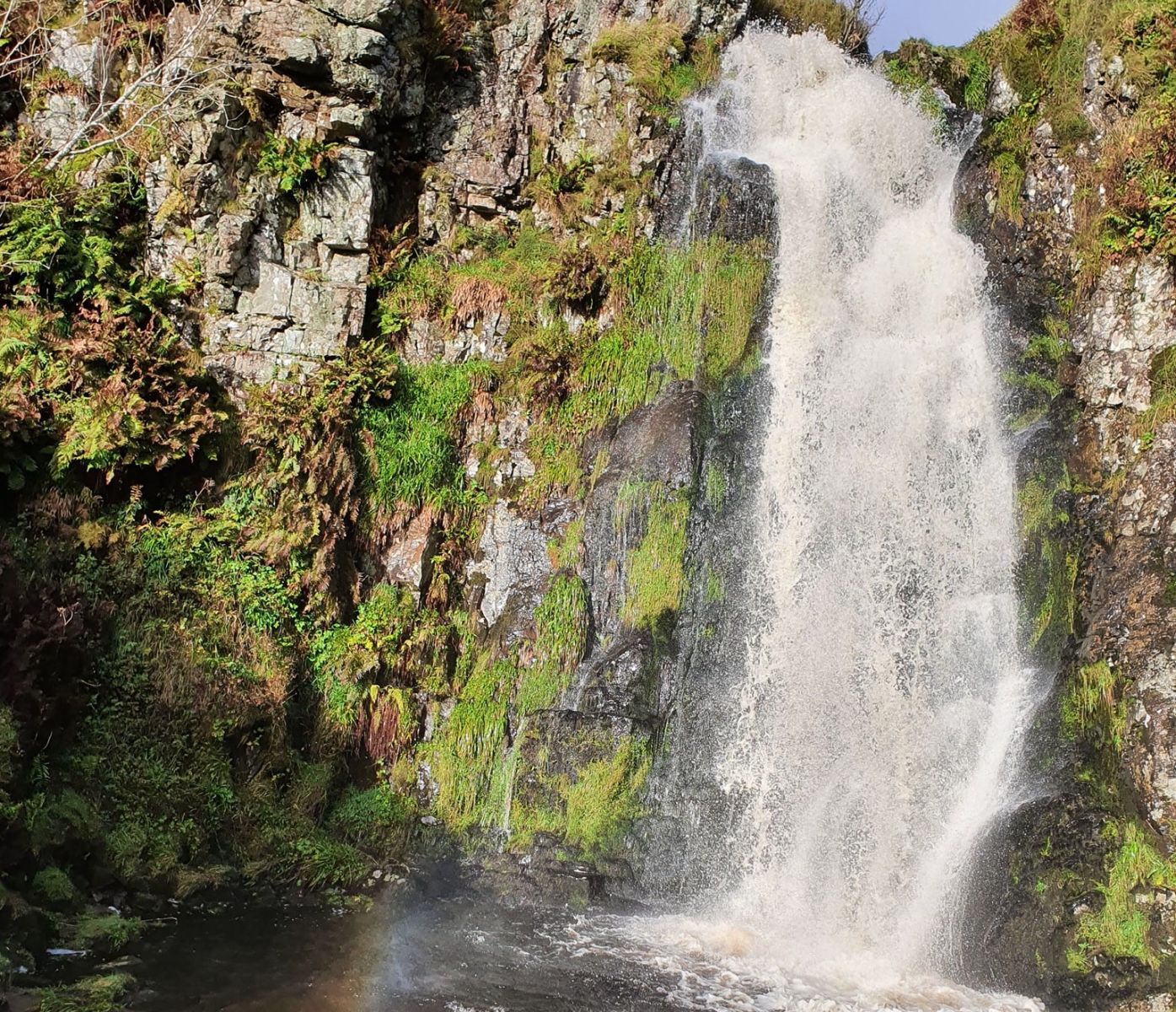 Waterfall on Finglen Burn in Campsie Glen