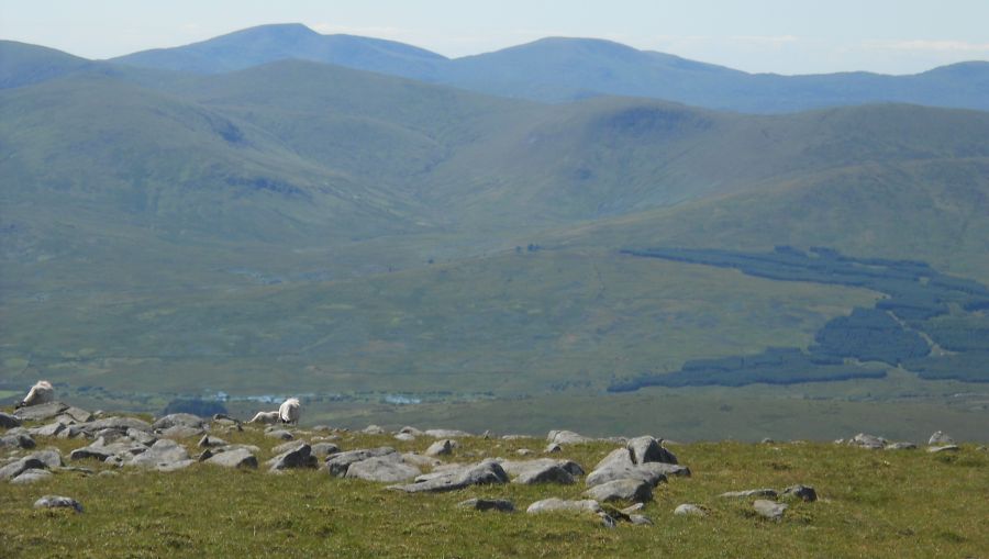 Loch Skeen on traverse of ridge from Lochcraig Head to White Coomb