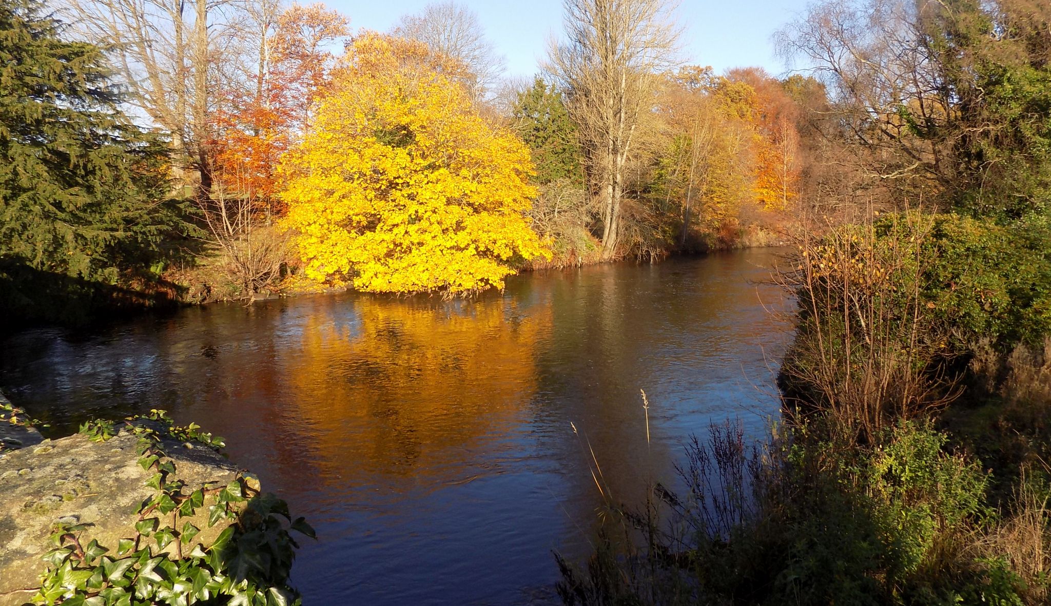 Kelvin River in Garscube Estate