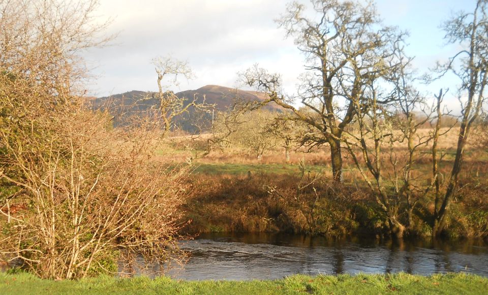 River Forth