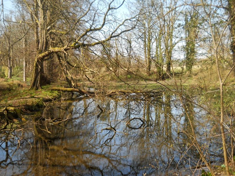 Mill pond in Geilston Gardens