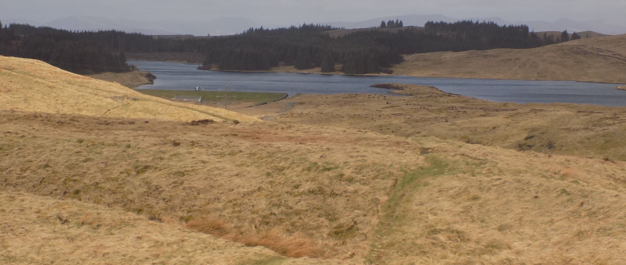 Loch Humphrey from The Slacks