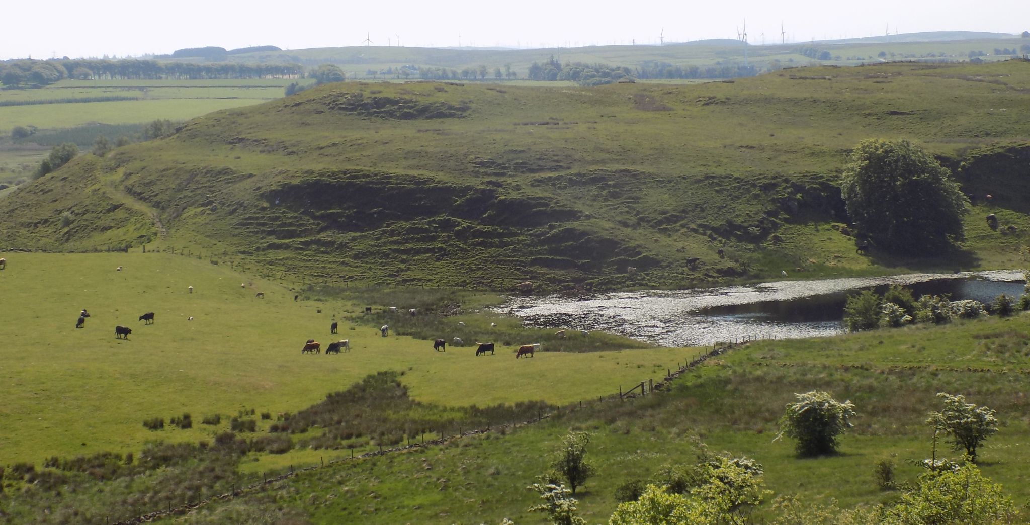 Site of a hill fort above Loch Walls from Broadfield Hill