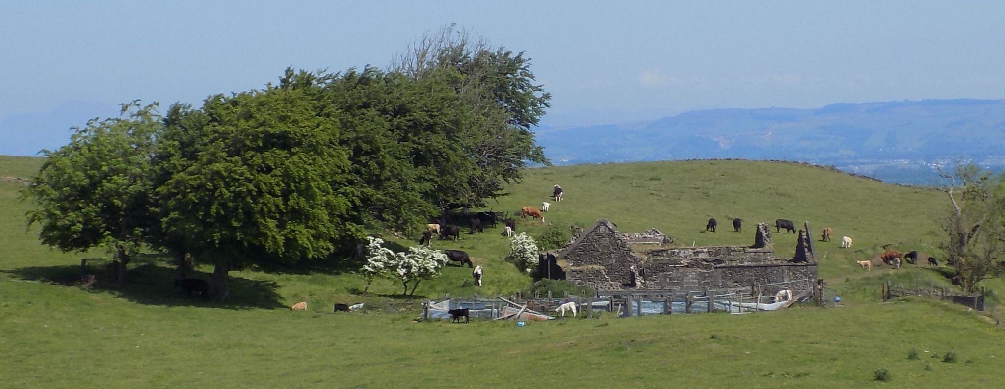 Derelict farm buildings at Northcastle Walls