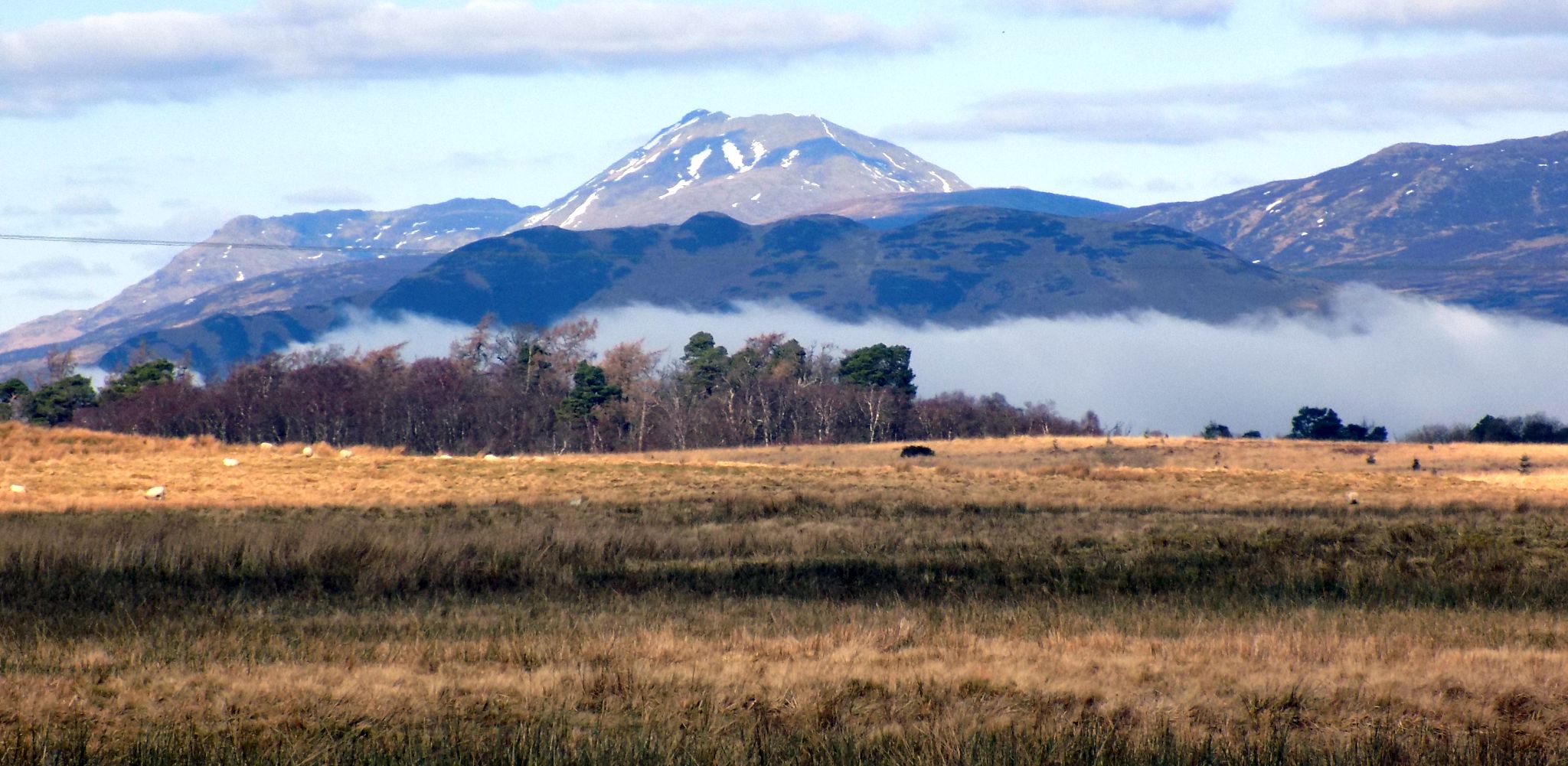 Ben Lomond from Cameron Muir