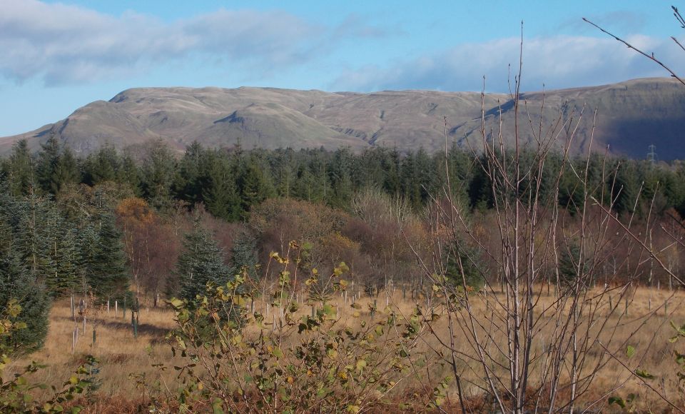 The Campsie Fells