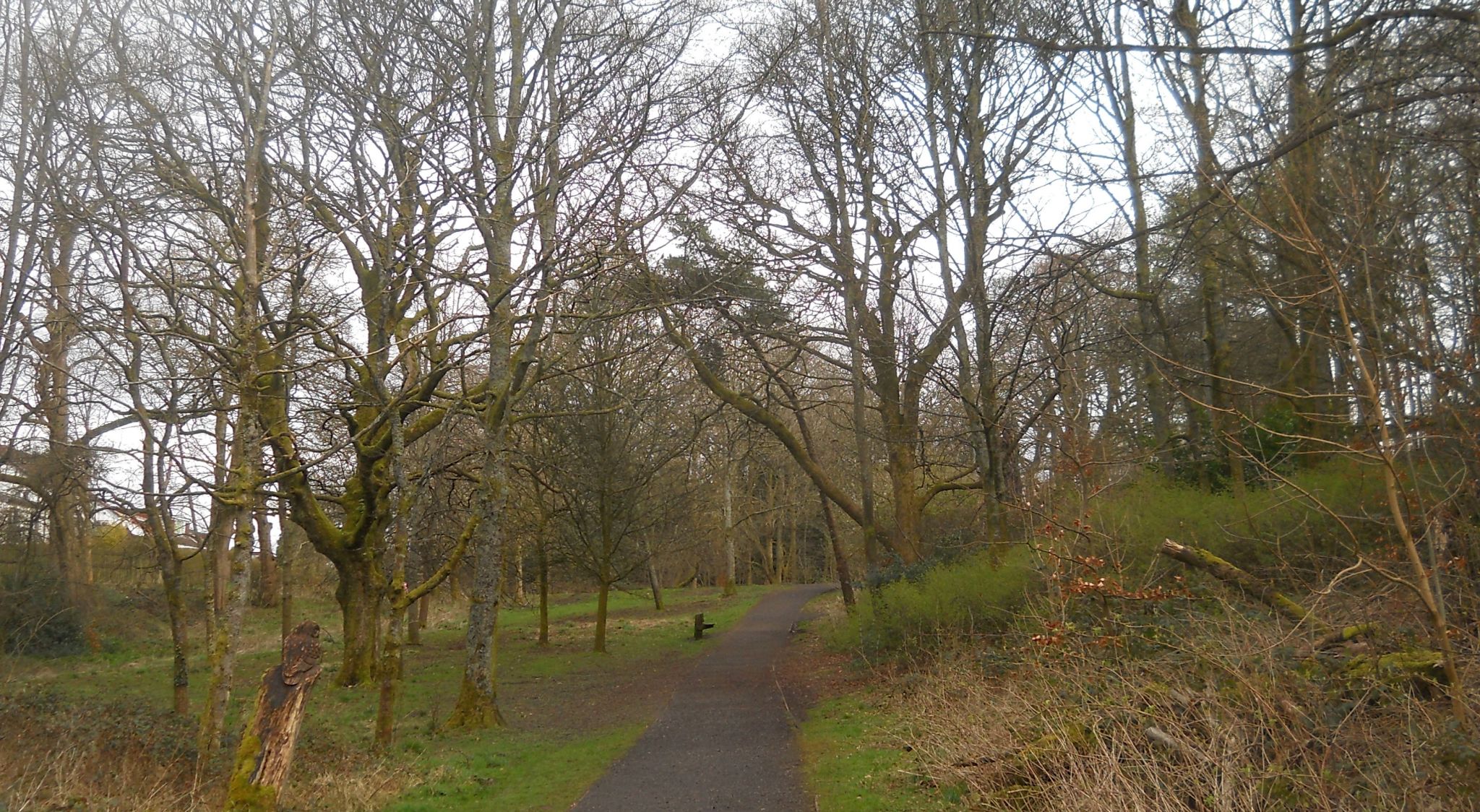 Woodlands at Kilmardinny Loch in Bearsden