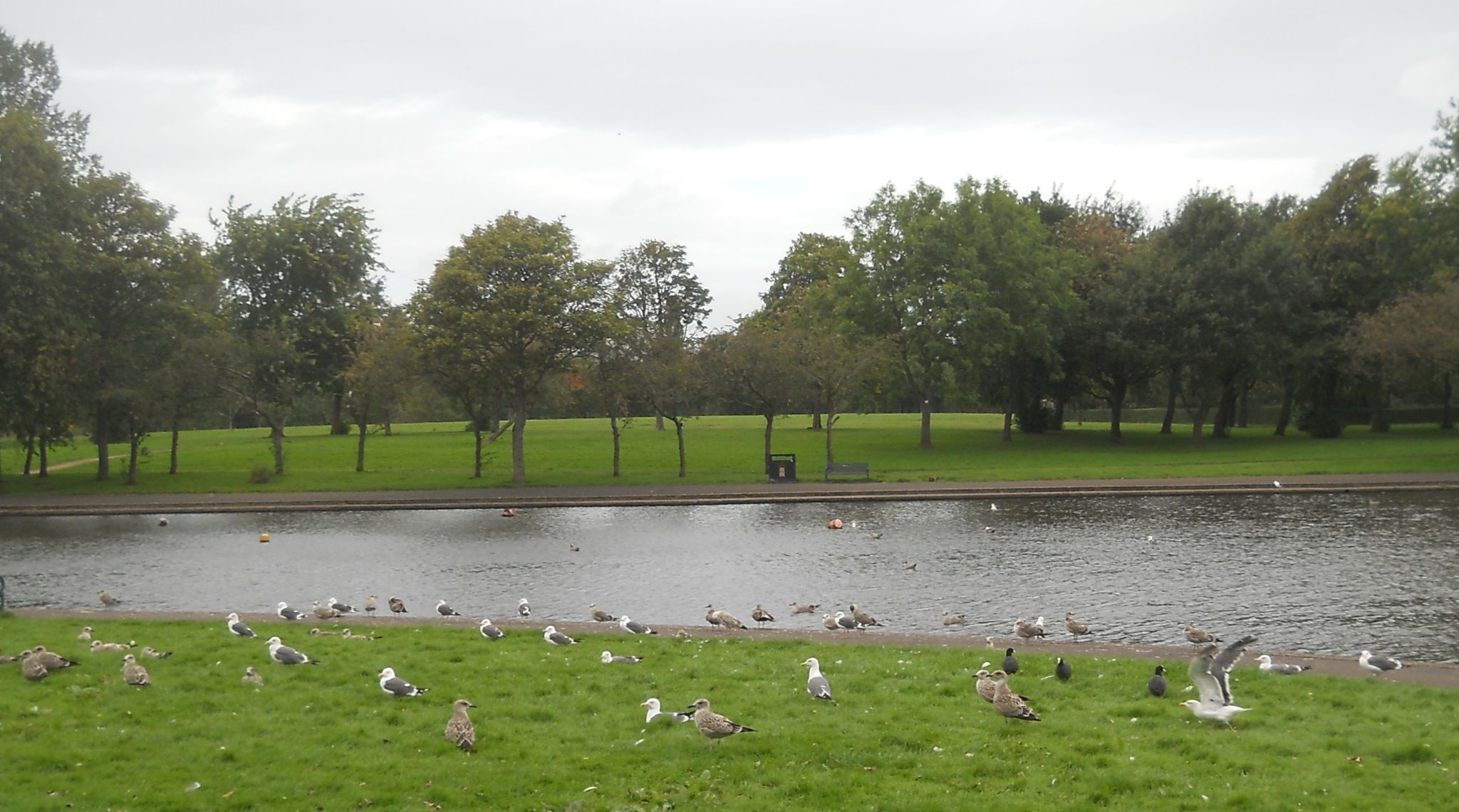 Boating Pond in Knightswood Park