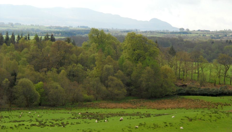 Campsie Fells from the grounds of Gartmore House