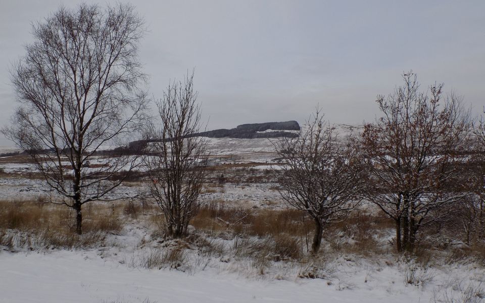 Kilpatrick Hills from Mains Wood