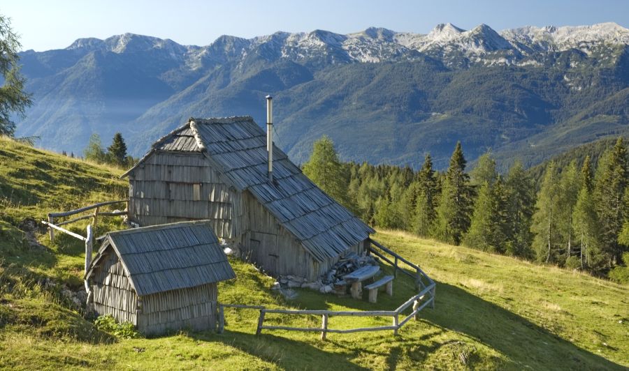 Alpine Meadows of Krstenica in the Julian Alps of Slovenia