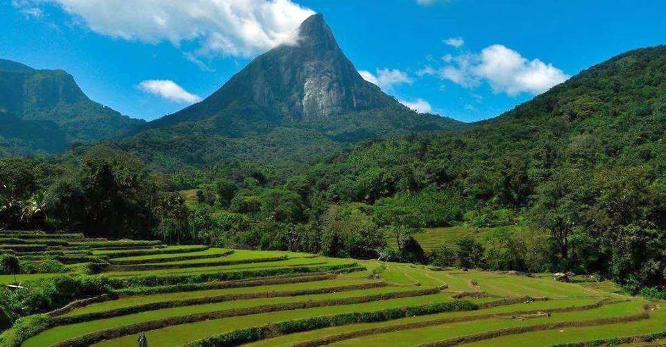 Adam's Peak in the Hill Country of Sri Lanka