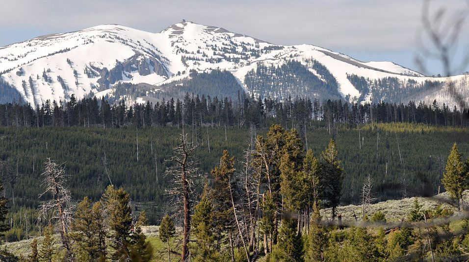 Mount Washburn in Yellowstone National Park, USA