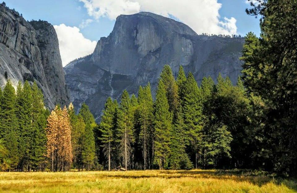 Half Dome in Yosemite Valley National Park in California